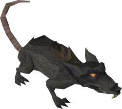 King rat - The RuneScape Wiki