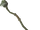 Nature staff