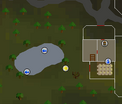 West of Farmer Fred's house in Lumbridge (removed)