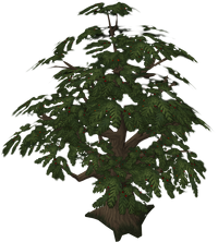 Willow Tree (Farming) - The RuneScape Wiki