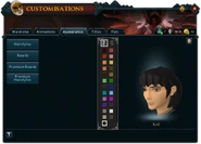 Customisations (Appearance) interface.png (375 KB) The Appearance interface