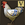 Ernest the Chicken icon.png