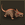 Olaf's Quest icon.png