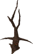 A Dead tree as an ent