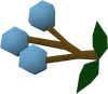 Grapes of Saradomin detail