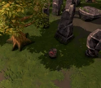 Hidey-hole Taverley Stone Circle