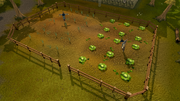 Rimmington | RuneScape Wiki | Fandom