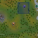 Gleaming wisp location