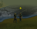 The fisherman in Lumbridge Swamp.