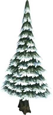 Evergreen tree (snow)