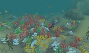 Reefs such as those in the Eastern Sea and off the shore of Karamja are amongst Gielinor's most biologically diverse areas.