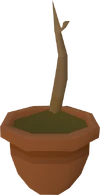 Curry sapling detail.png
