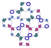 The solution to the final puzzle.