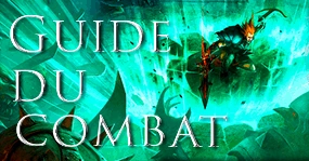 Guide du combat