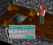 Hole knights fortress
