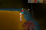 Fisher King Realm 5.png (93 KB) Near fisherman