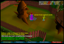 Tree Gnome Village completed.png