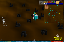 Wilderness skeleton mine.png