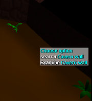 Cavern wall