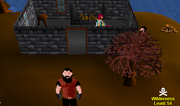 Rogues' House