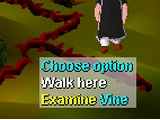 Vine