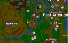 Purple dye location