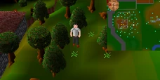 
Collecting doogle leaves behind Gertrude's house