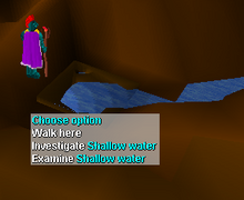Shallow water Cavern