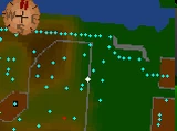 Fishing Contest