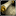 Recipe - Wing of the Dragonking