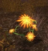 Dragonsprout Grass (Object)