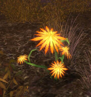 Dragonsprout Grass (Object)