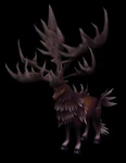 Elder Reindeer