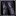 Knight Shin Guard