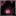 Nocturnal Lantern Grass Bundle