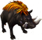 Boar