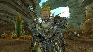 Typical Warden appearance