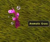 Bison Grass (Object)