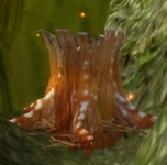 Dragonlair Wood (Object)