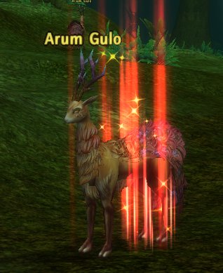 Arum Gulo Runes of Magic Wiki