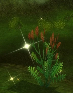 Hollow Leaf (Object) - Runes of Magic Wiki