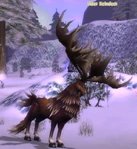 Race: Reindeer