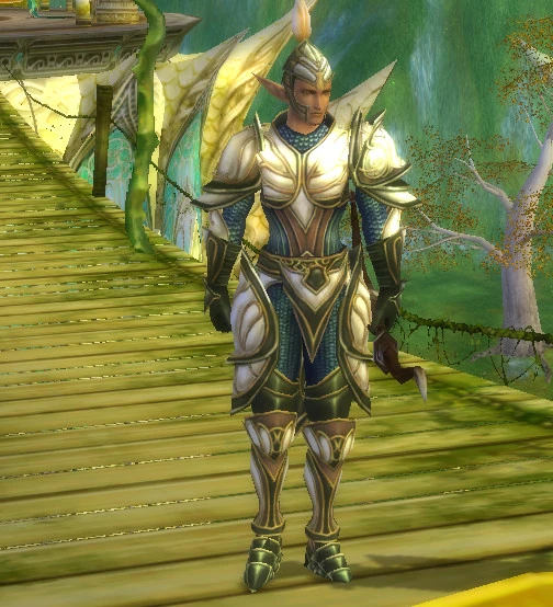 Valley of Preparation Guard - Runes of Magic Wiki