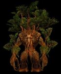 Ent