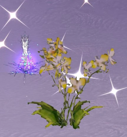 Ice Tear - Runes of Magic Wiki