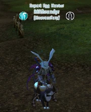 Portrait - Expert Egg Hunter