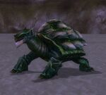 Race - Turtle