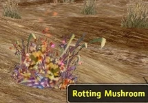 Straw Mushroom (Object)