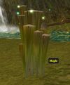 Maple Wood (Object)