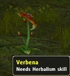Verbena (Object)